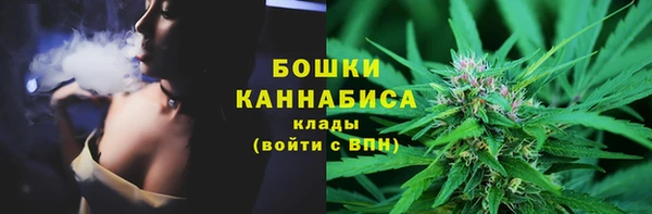 сатива Алексин