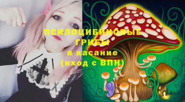 сатива Алексин