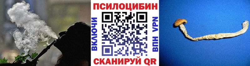 Псилоцибиновые грибы MAGIC MUSHROOMS  где купить наркотик  Берёзовский 